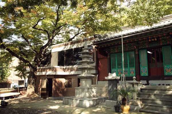 Japanische Ulme vor dem Mireugam Tempel